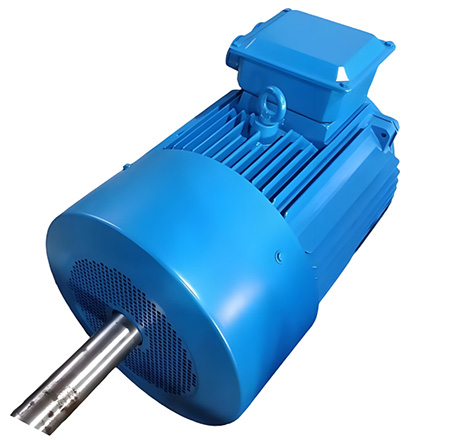 雙出軸微型電機(jī) 雙出軸微型電機(jī)